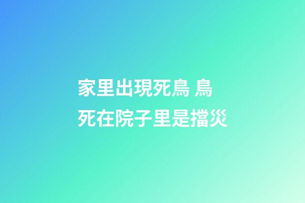 家里出現死鳥 鳥死在院子里是擋災